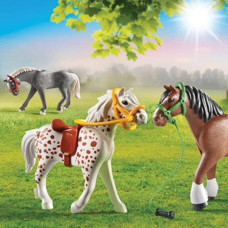 Playmobil Pony Pony Set