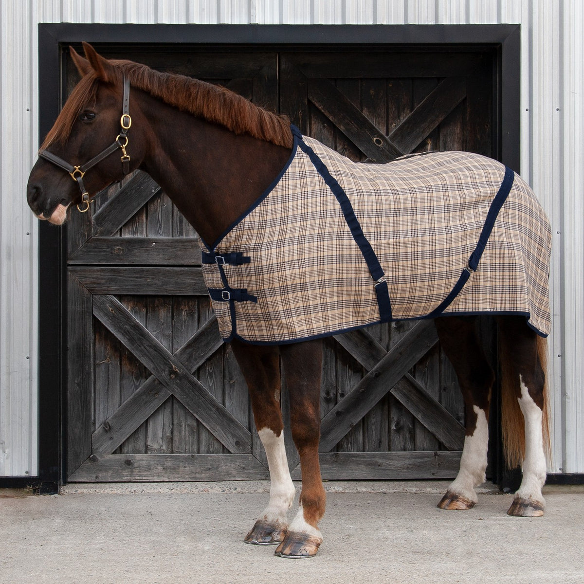 Blanket Leg Straps - Horse Tack & Supplies