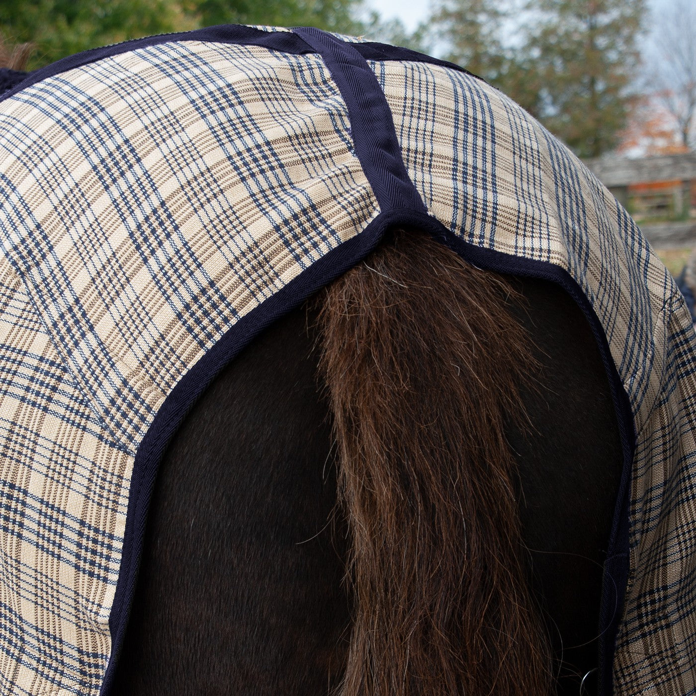 Shedrow Heavyweight Plaid Blanket