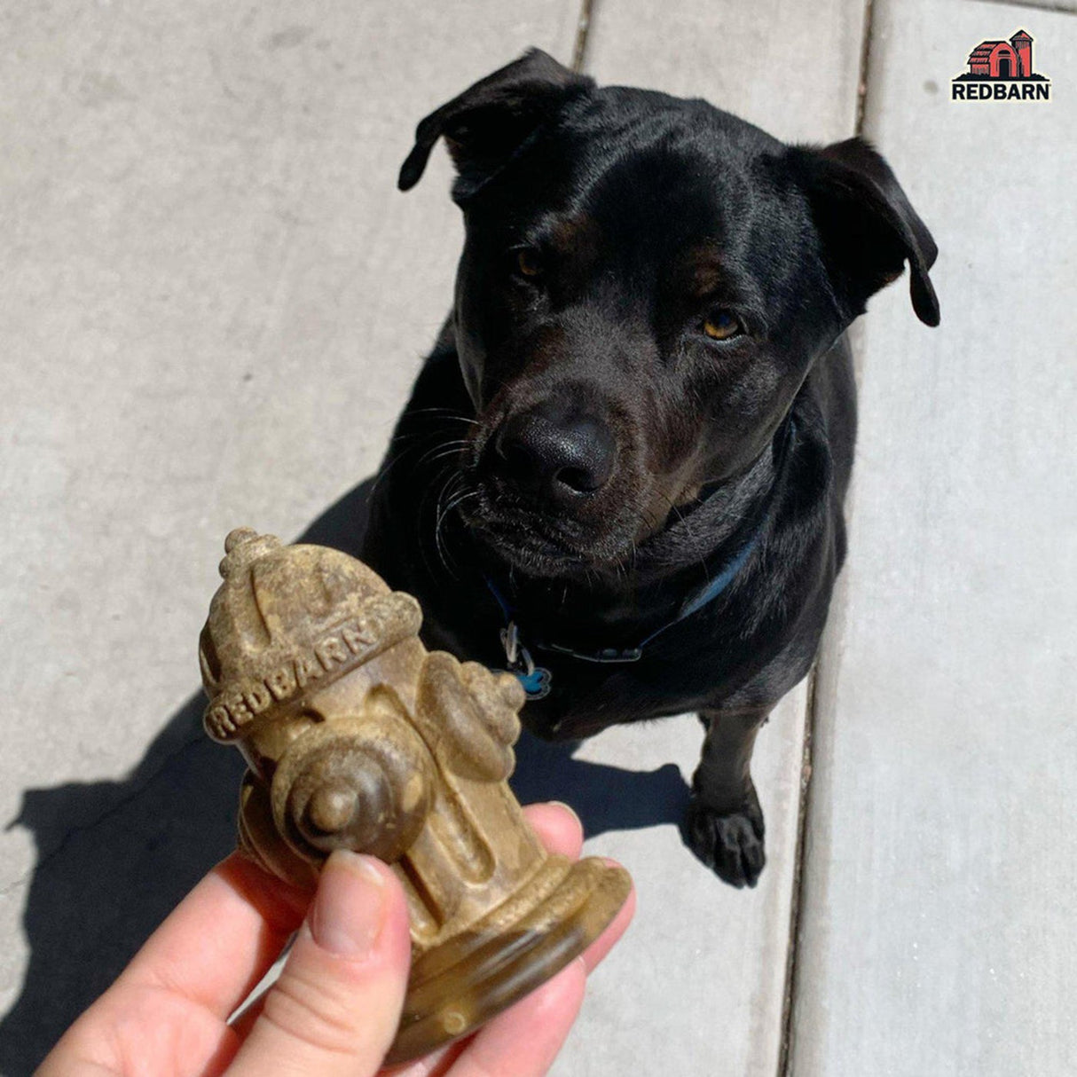 Redbarn Chew-A-Bulls Hydrant Sacs à mâcher pour chien