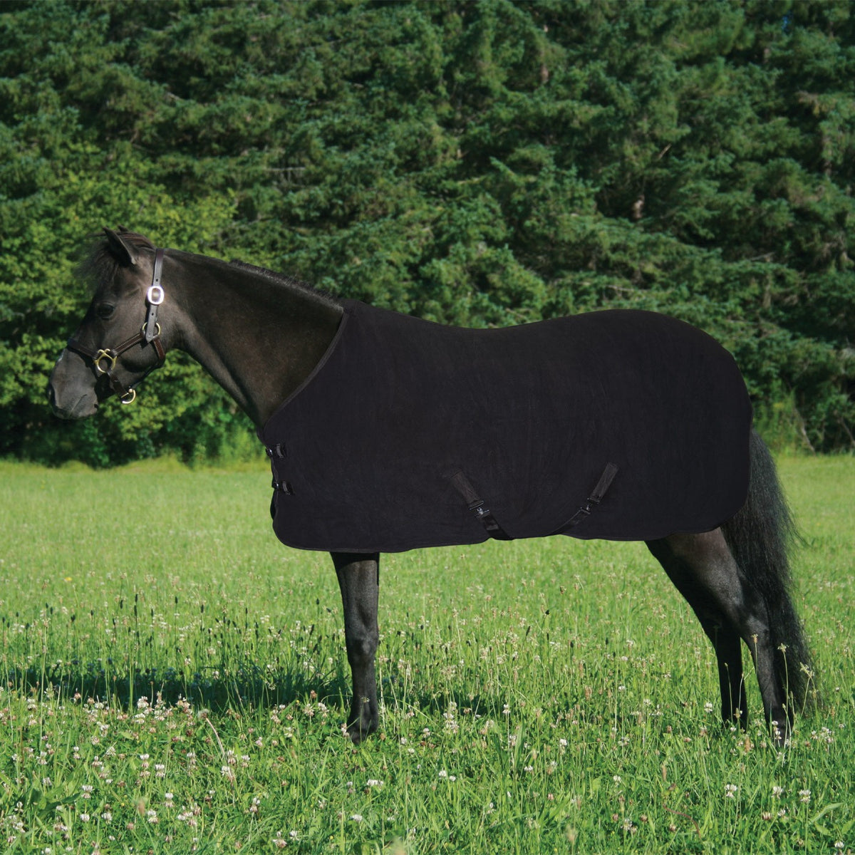 Couverture Polaire LeMieux Luxe Pour Cheval - Noire - Légère - Occasion