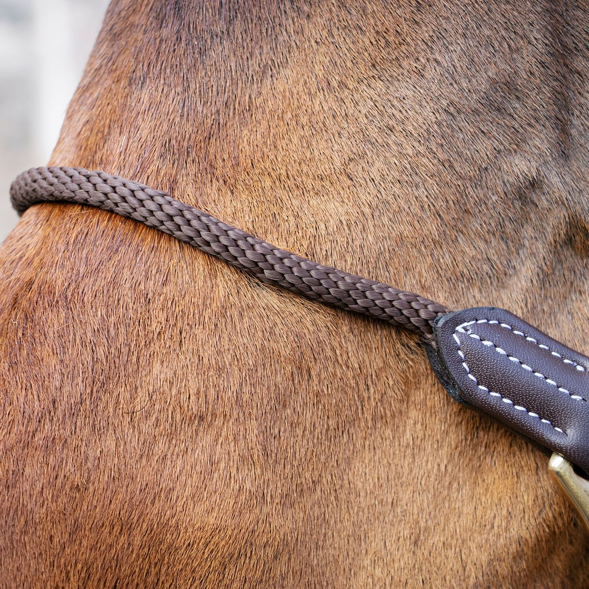 Val du Bois Training Vegan Leather Halter