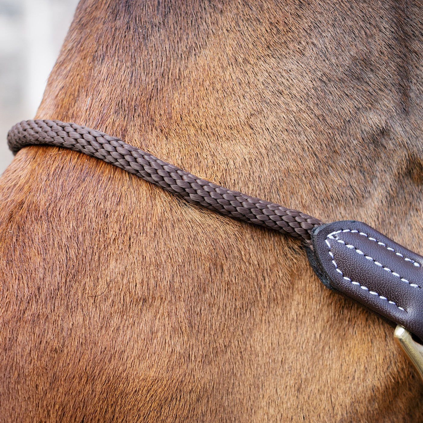 Val du Bois Training Vegan Leather Halter