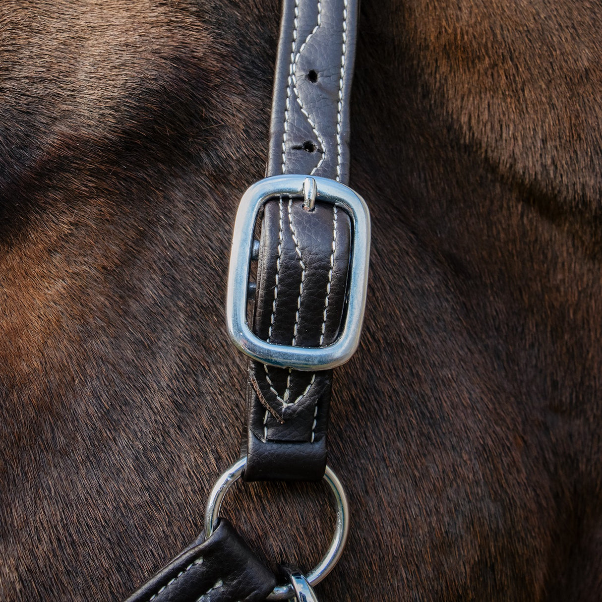 Val du Bois Synthetic Leather Halter