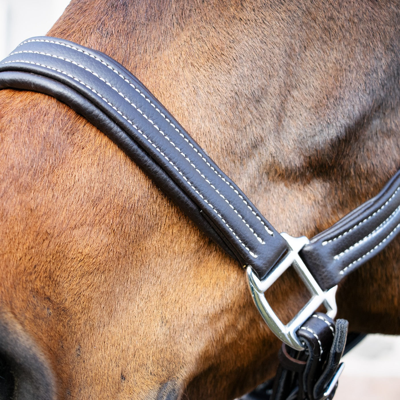Val du Bois Synthetic Leather Halter