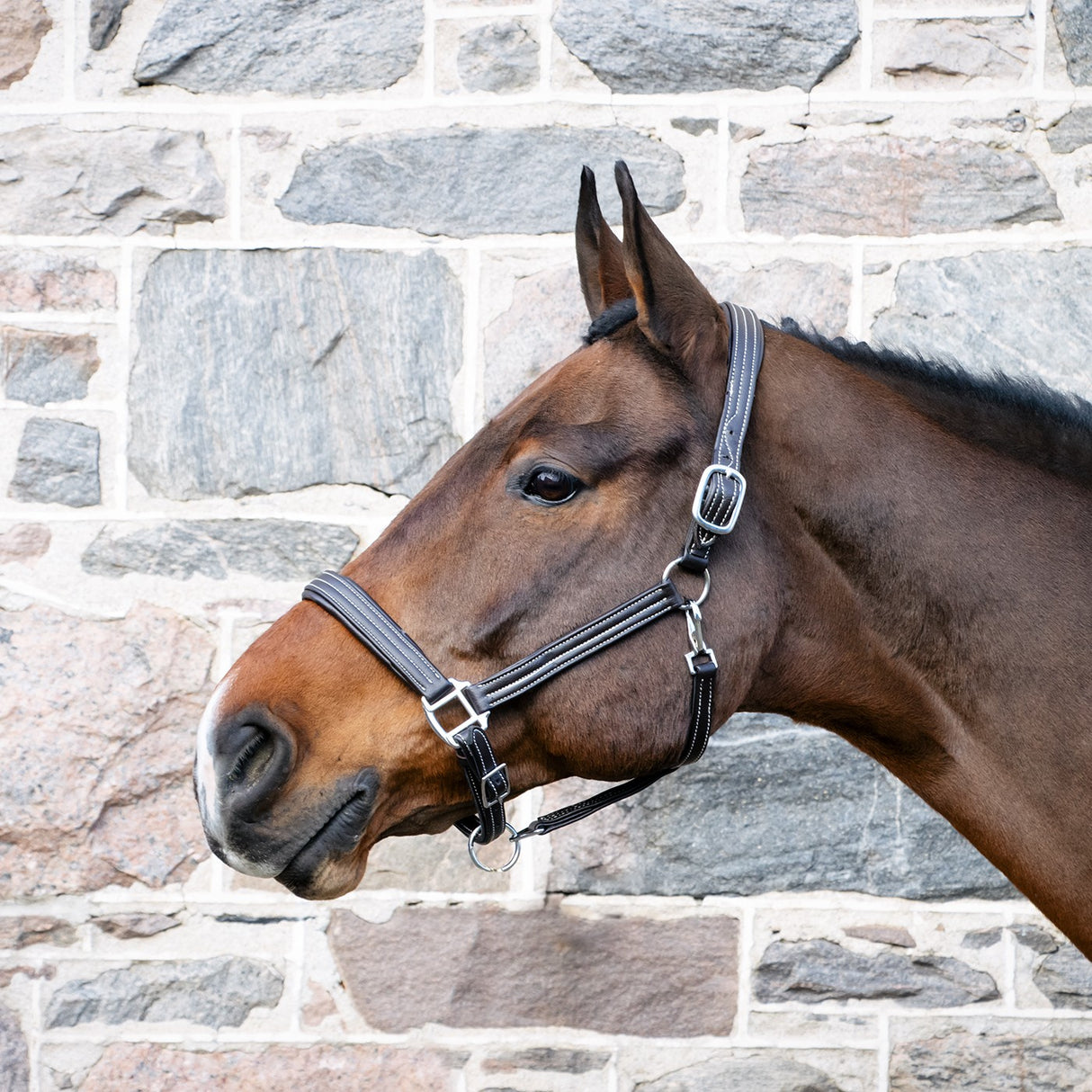 Val du Bois Synthetic Leather Halter