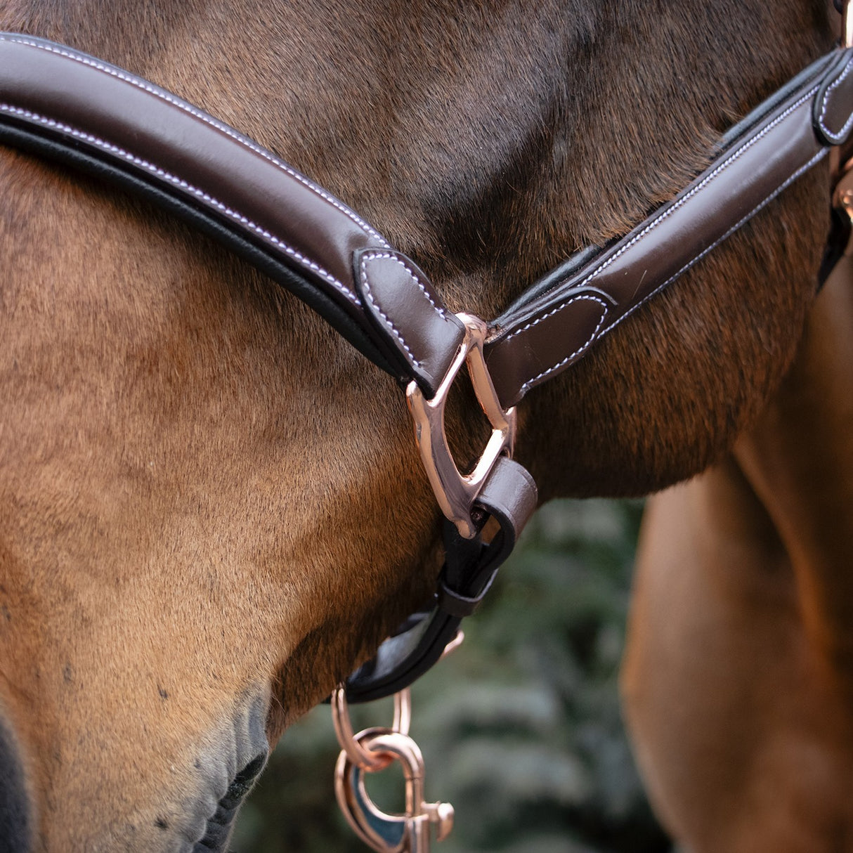 Val du Bois Rose Gold Raised Leather Halter
