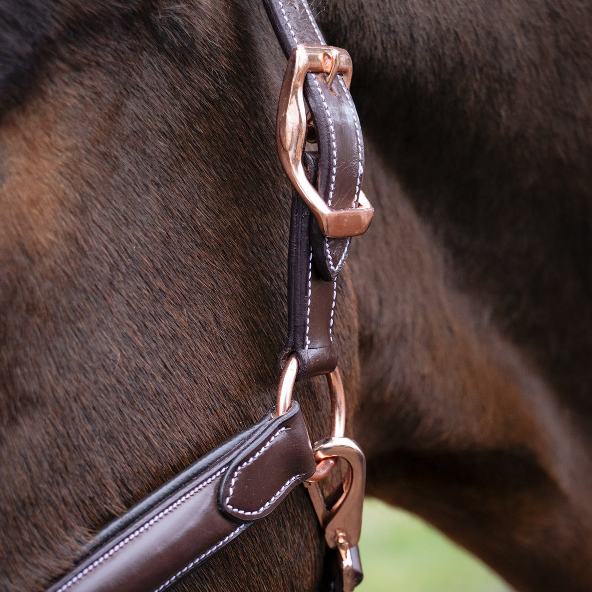 Val du Bois Rose Gold Raised Leather Halter