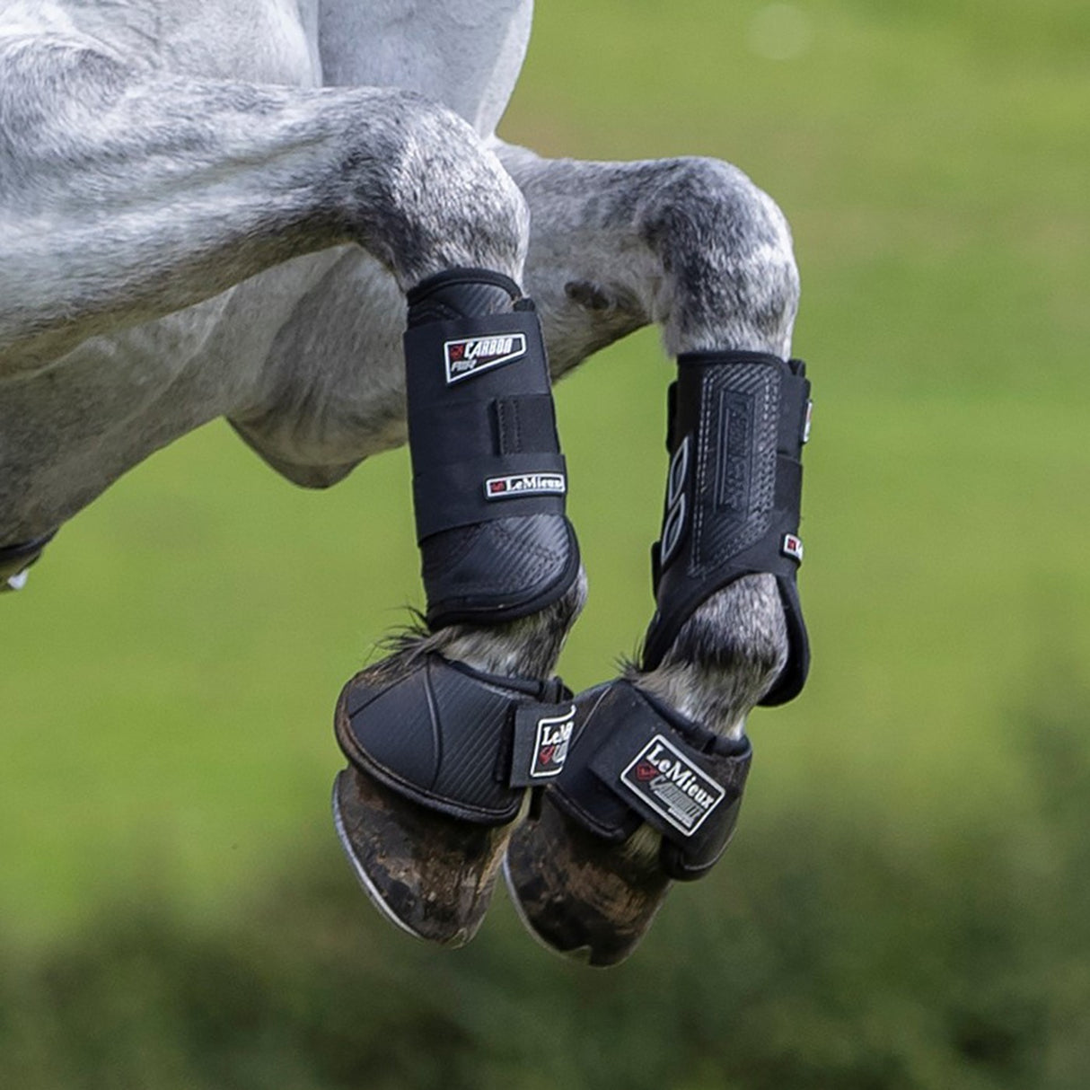 LeMieux Carbon Air XC Front Boots