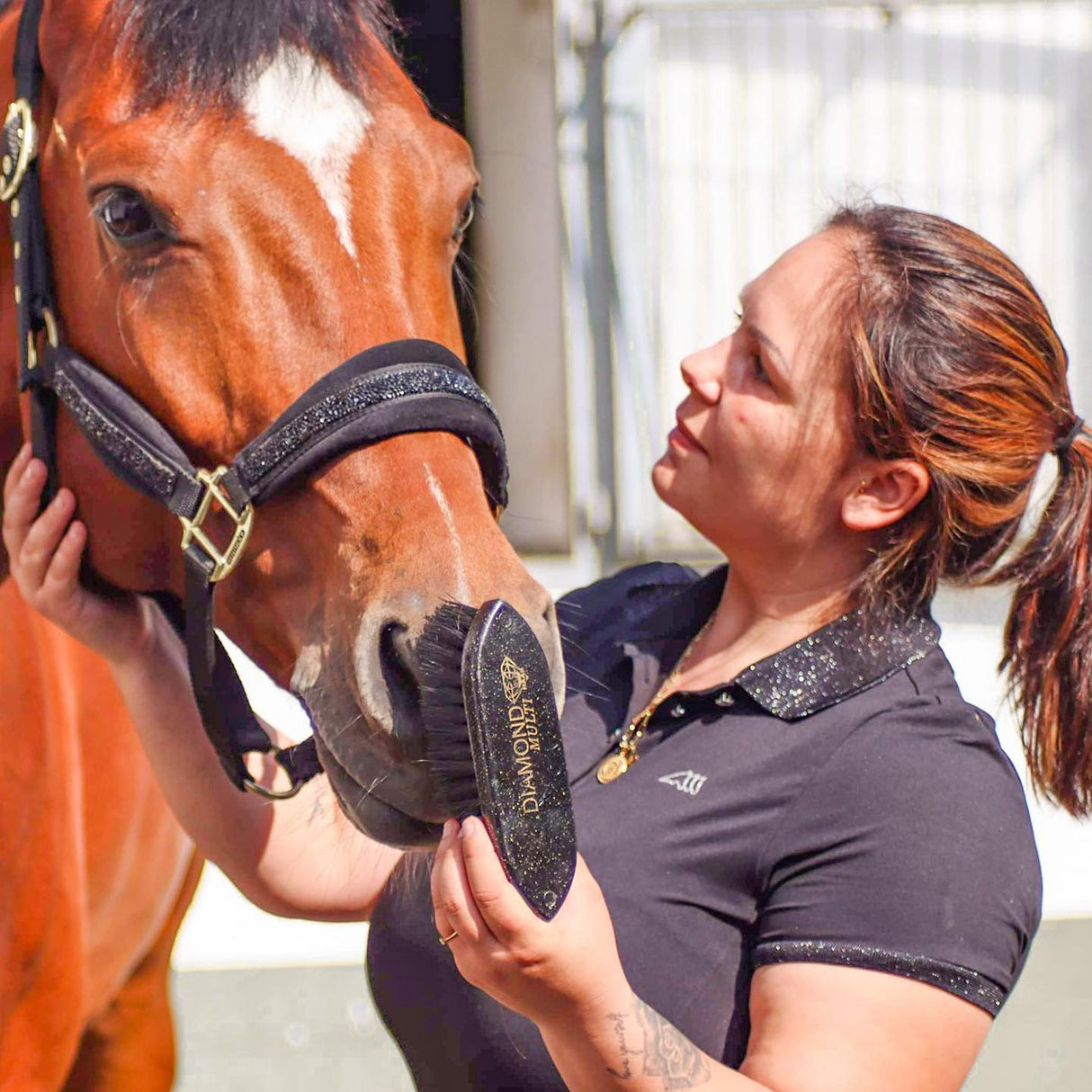 Haas Diamond Noir Brush