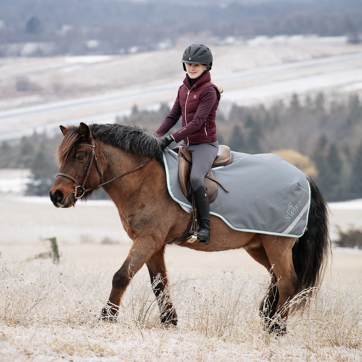 Swift Pony Exercise Sheet