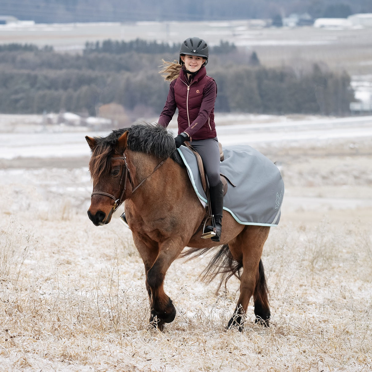 Swift Pony Exercise Sheet