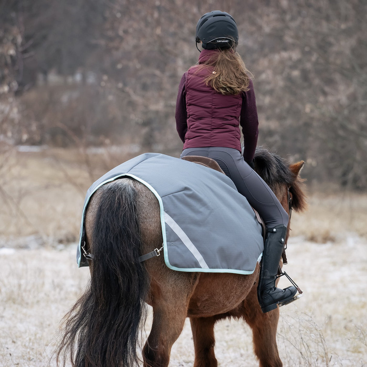 Swift Pony Exercise Sheet