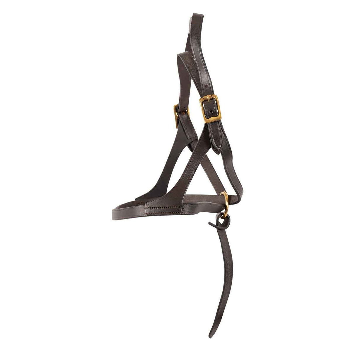 Val du Bois Figure 8 Foal Halter Greenhawk Equestrian Sport