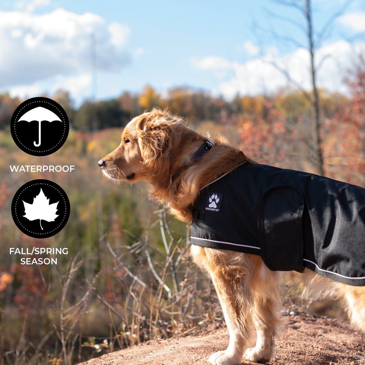 Shedrow K9 Harbour 2.0 Rain Coat