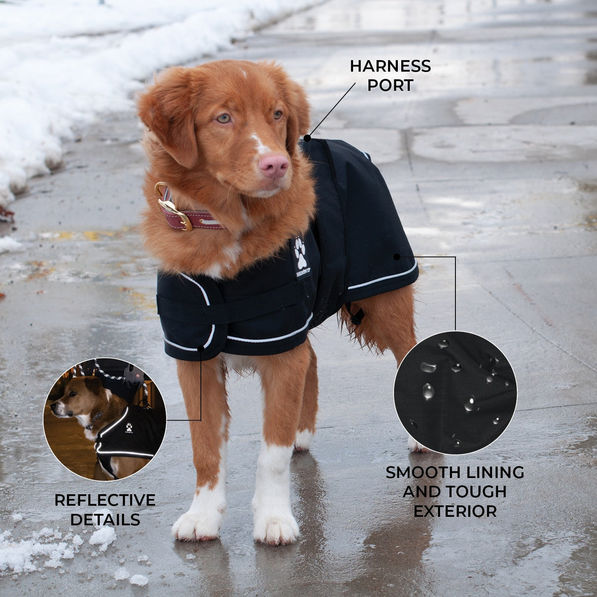 Shedrow K9 Harbour 2.0 Rain Coat