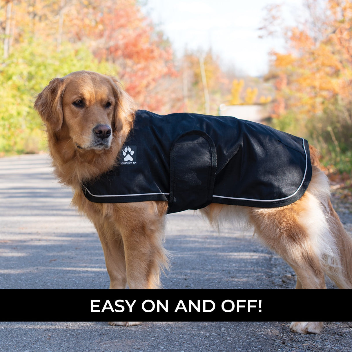 Shedrow K9 Harbour 2.0 Rain Coat