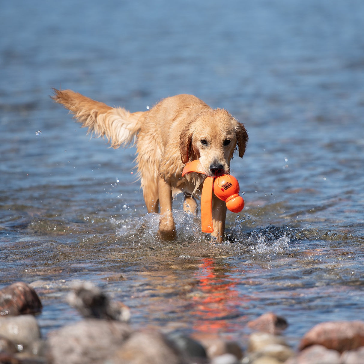 Kong Water Wubba - Large