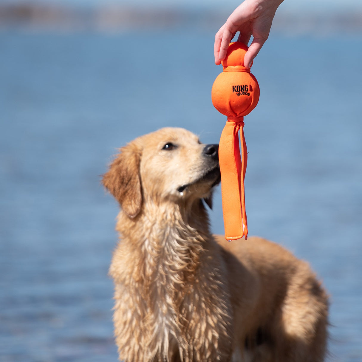 Kong Water Wubba - Large