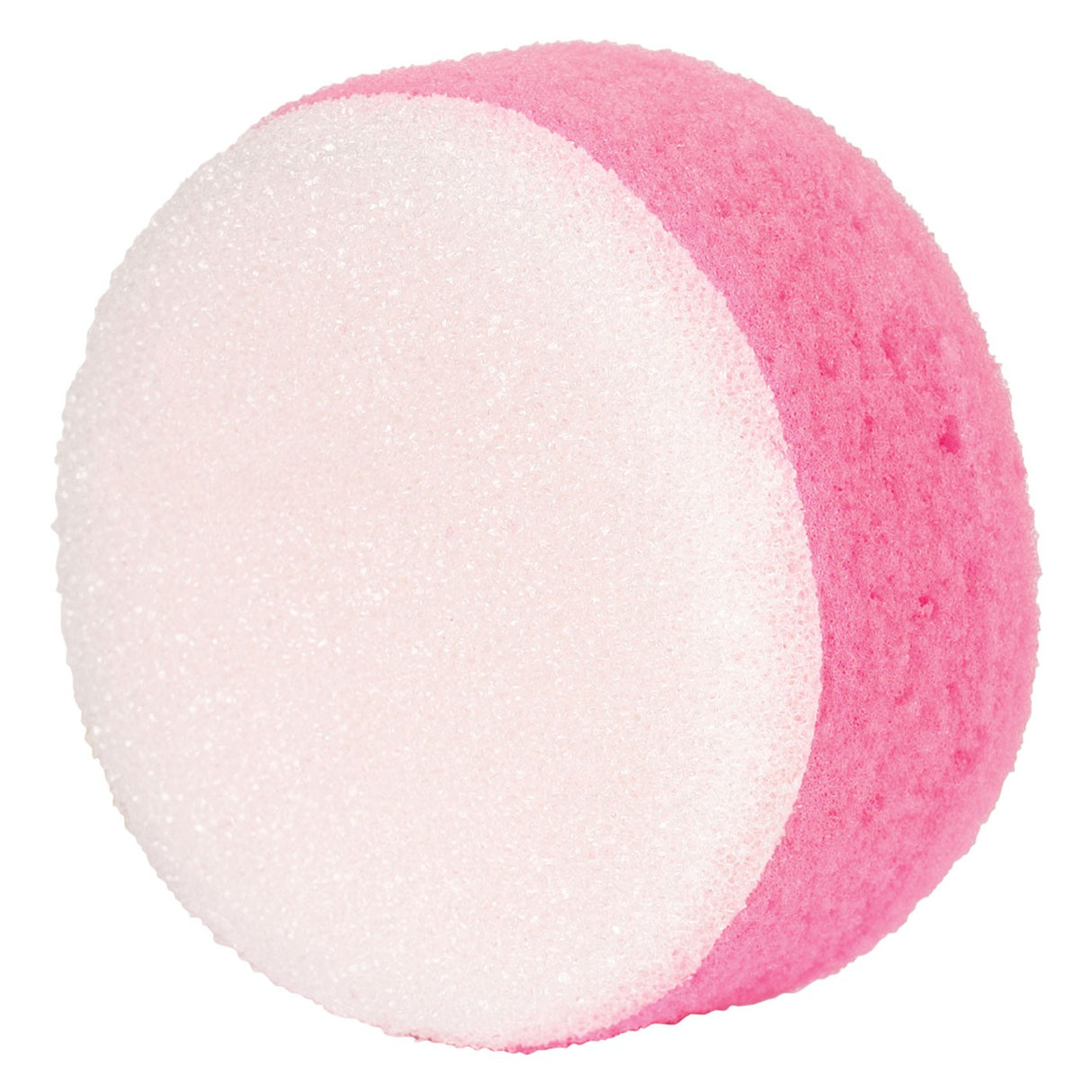 Small Scrub Sponge