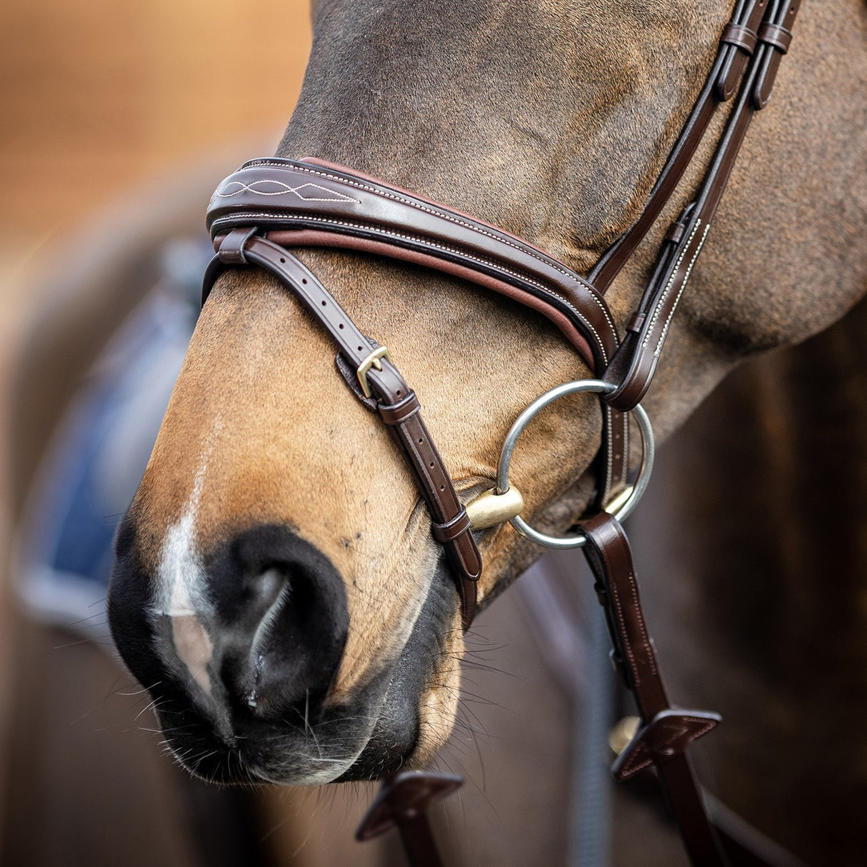 Bridon LeMieux Kudos Competition Flash