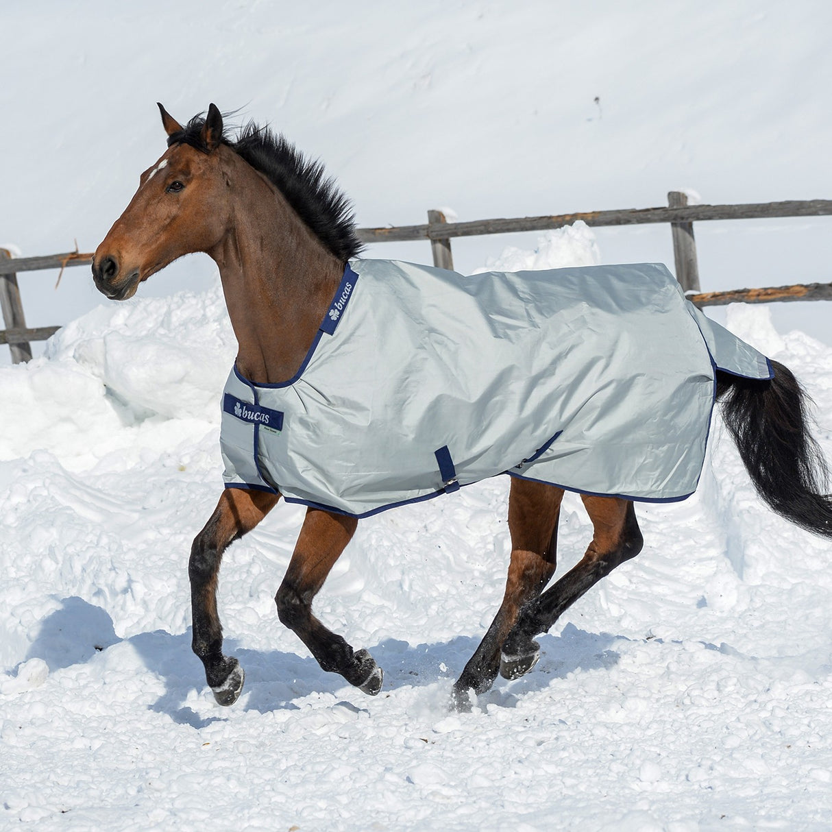 Bucas Power Extra Turnout Blanket 300 g