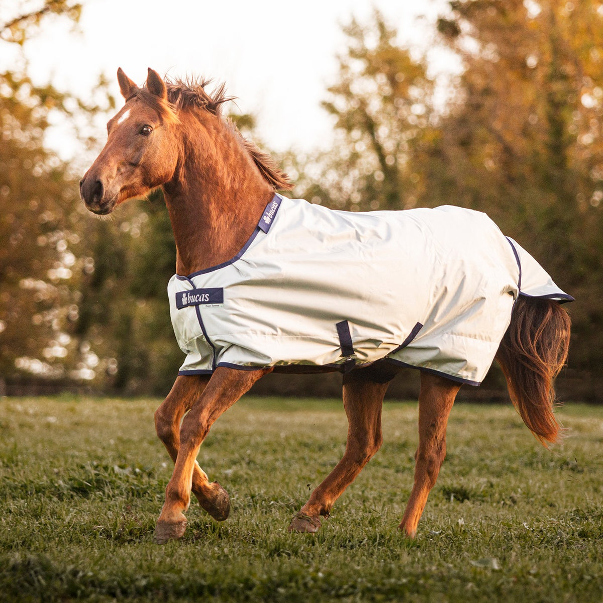 Bucas Power Turnout 0 g Greenhawk Equestrian Sport