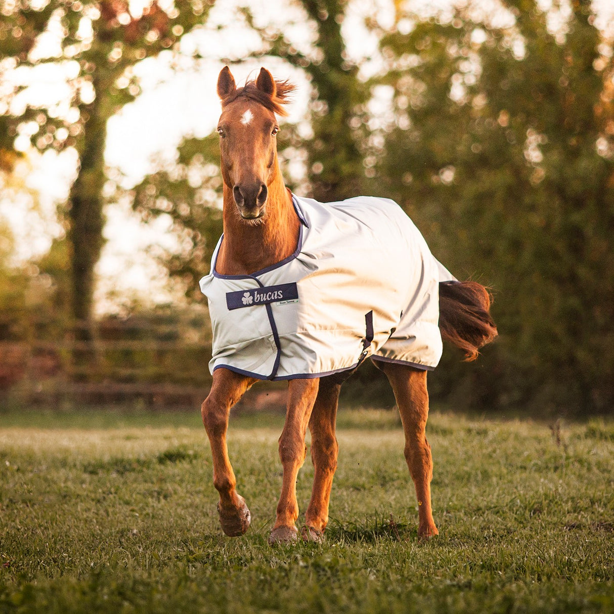 Couverture d'extérieur Bucas Power 0 g