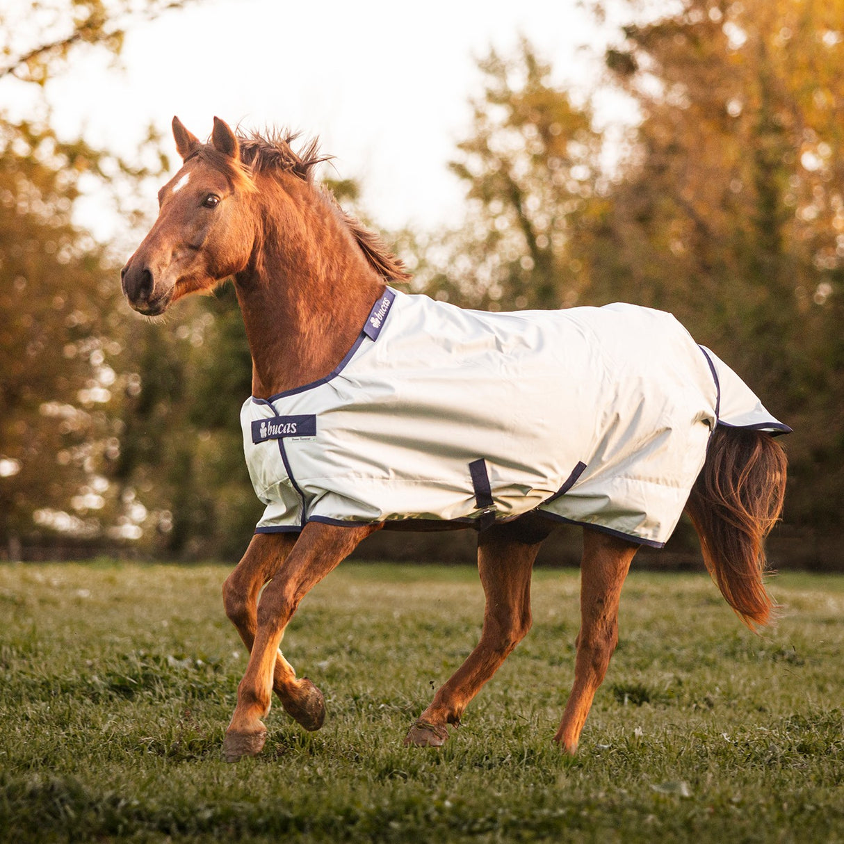 Couverture d'extérieur Bucas Power 0 g