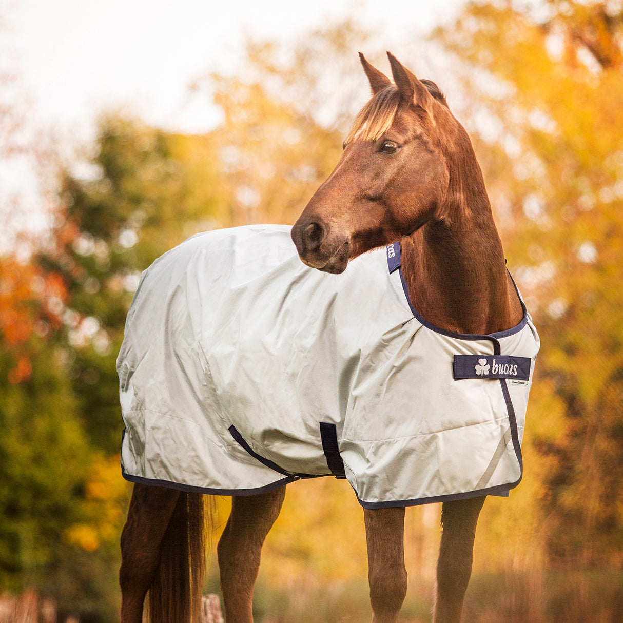 Couverture d'extérieur Bucas Power 0 g