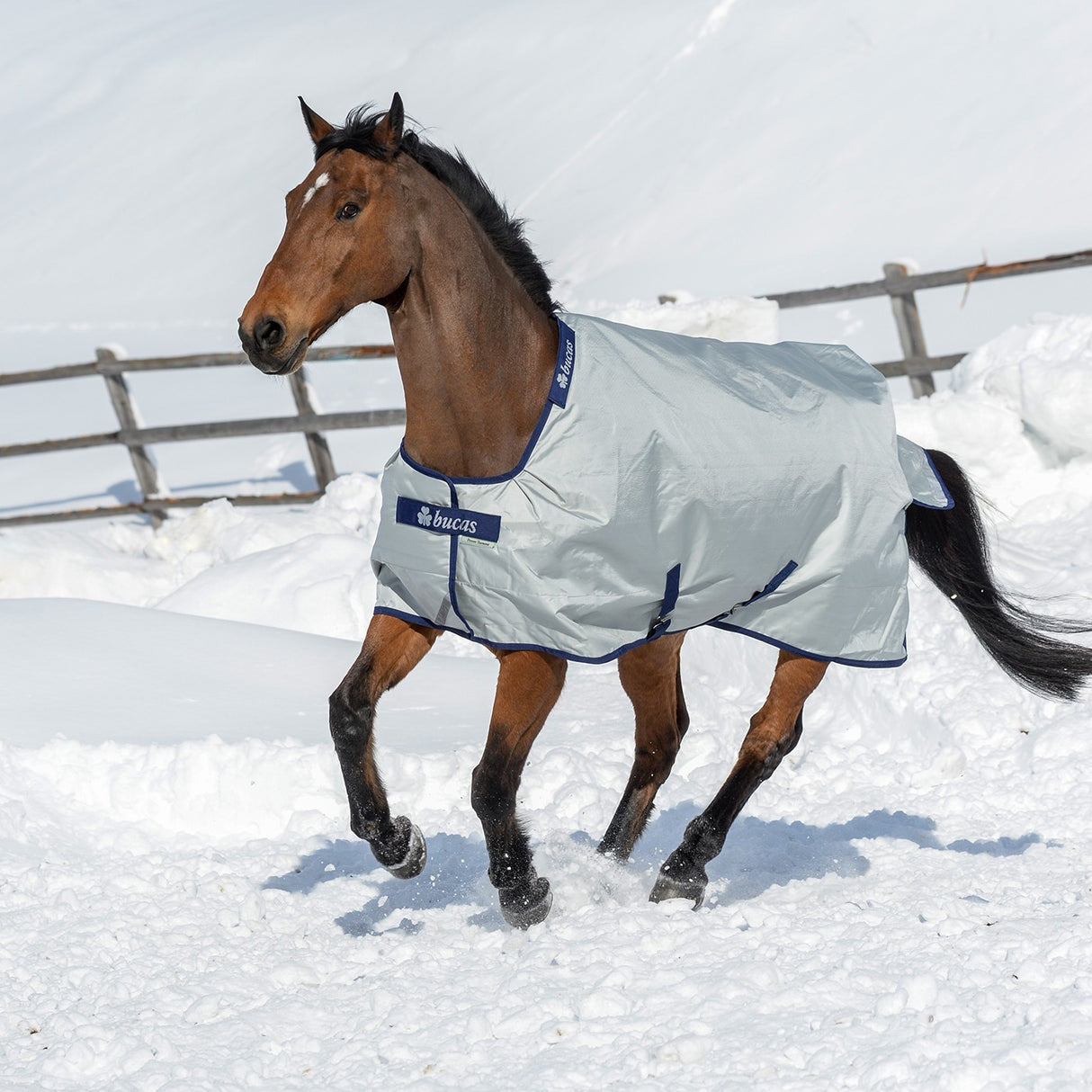 Bucas Power Extra Turnout Blanket 300 g