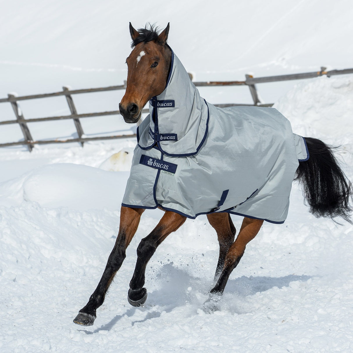Bucas Power Extra Turnout Blanket 300 g