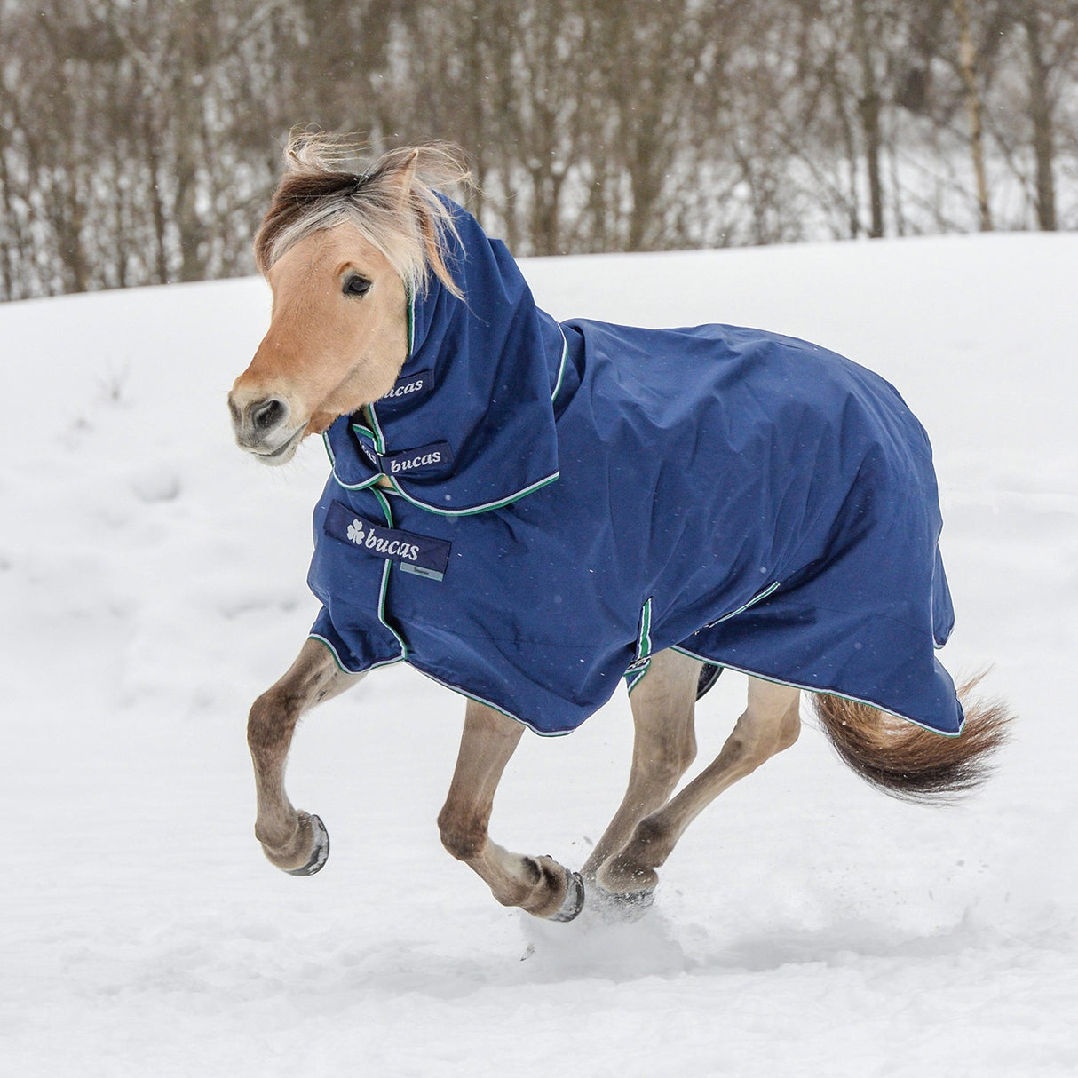 Bucas Smartex Medium Turnout Blanket 150 g