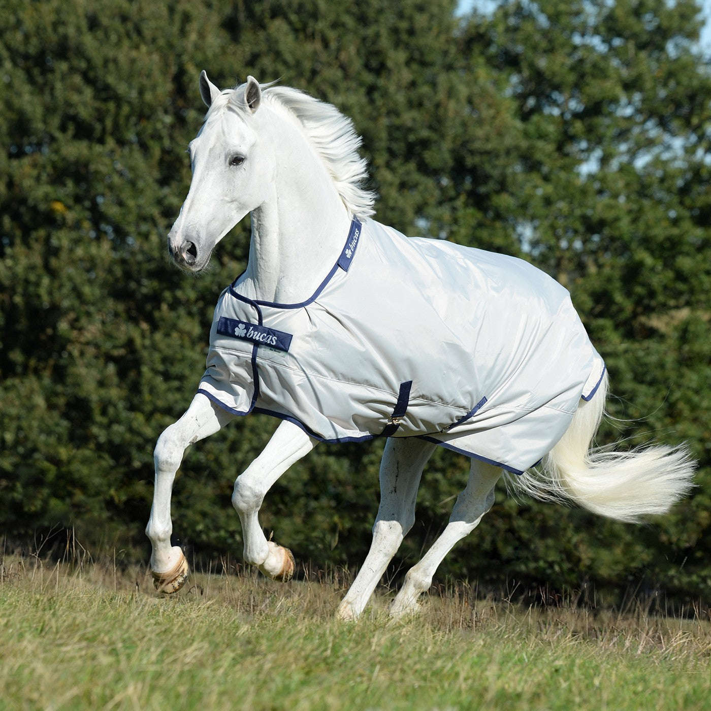 Couverture Bucas Sun Shower 0 g