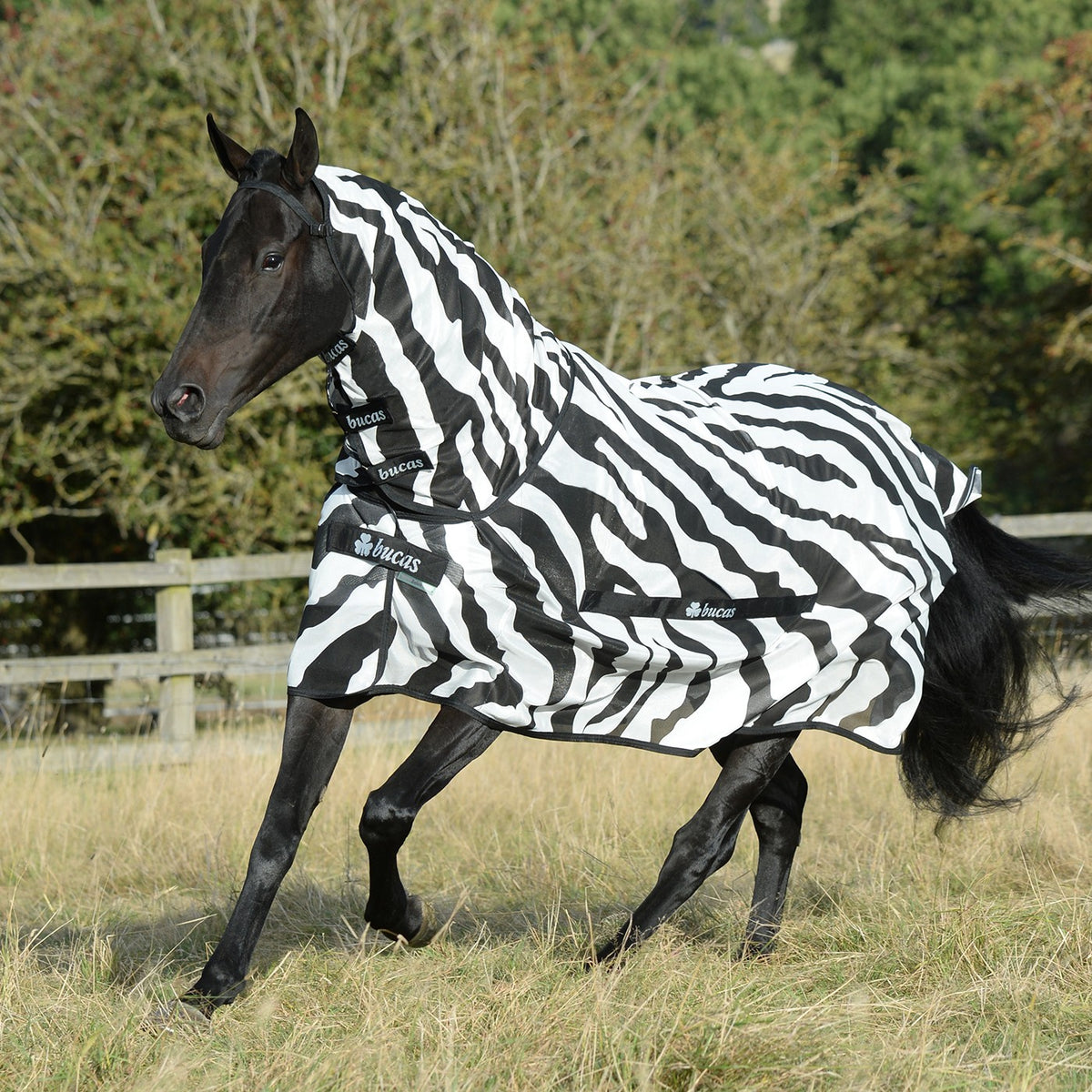 Bucas Buzz Off Zebra Full Neck Fly Sheet Greenhawk Equestrian Sport