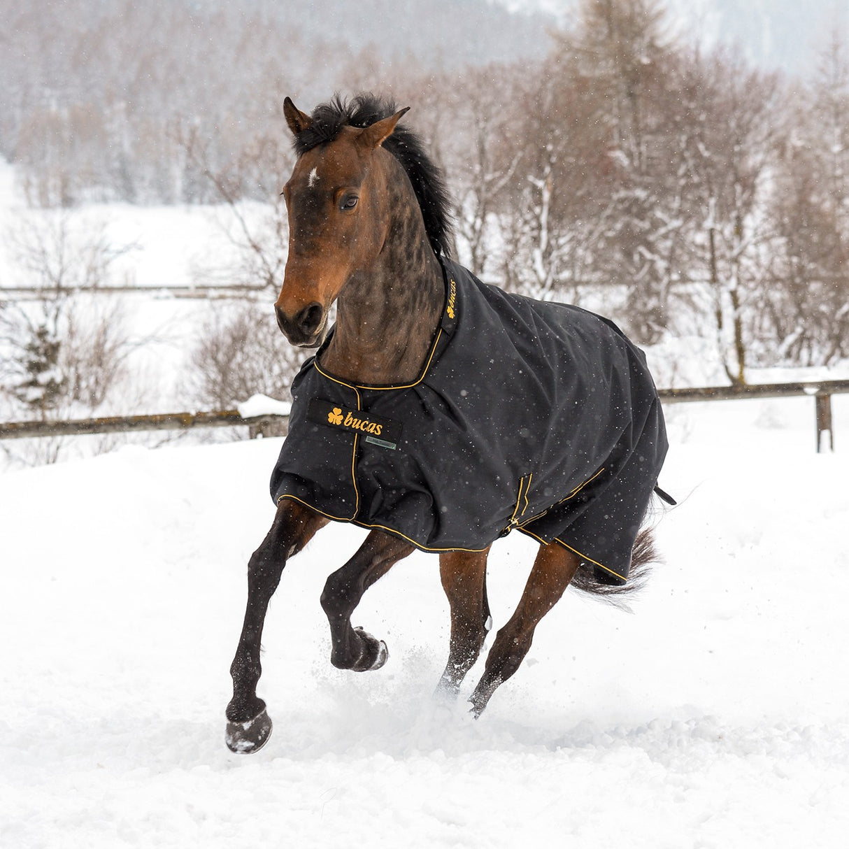 Couverture de sortie Bucas Irish Extra 300 g