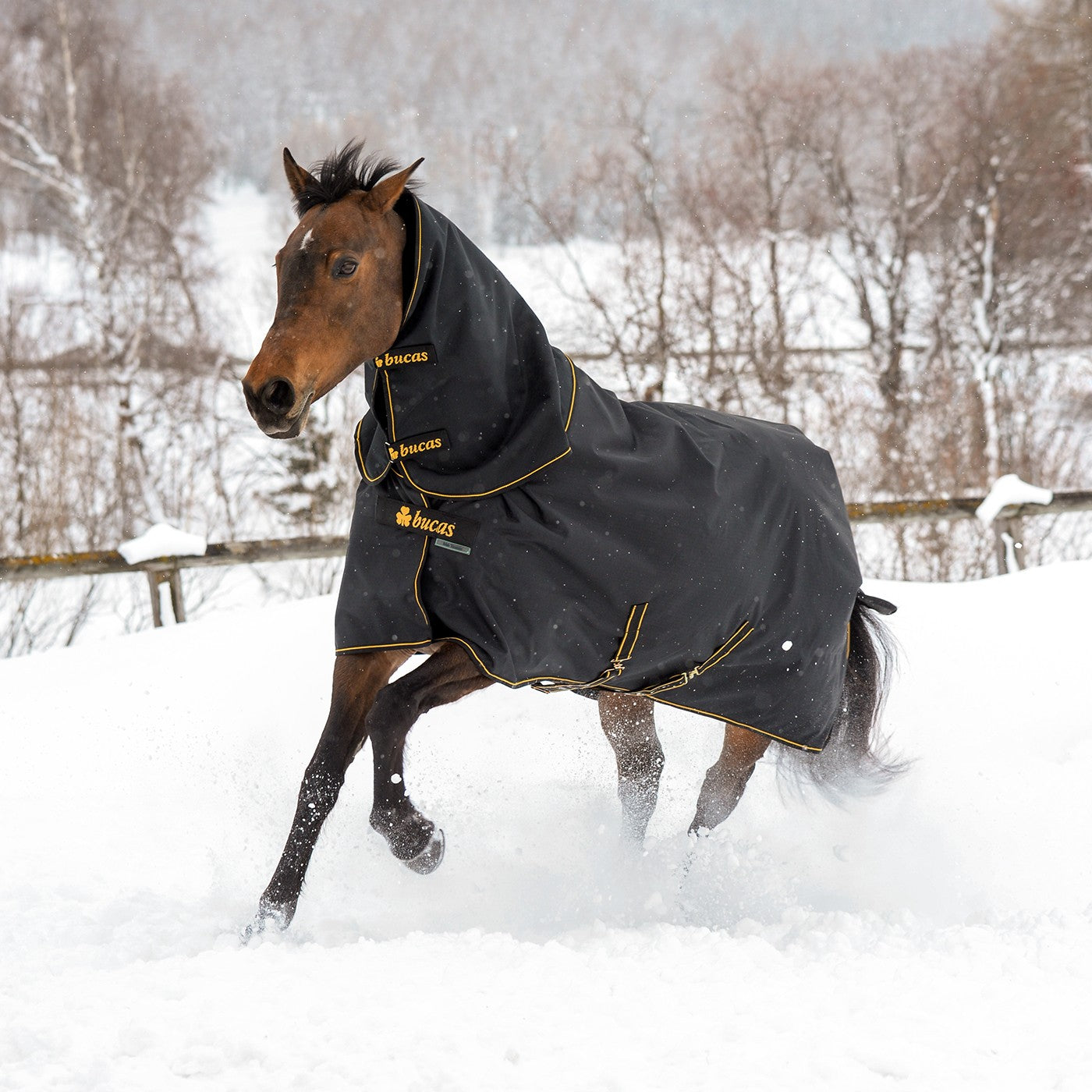 Couverture de sortie Bucas Irish Extra 300 g