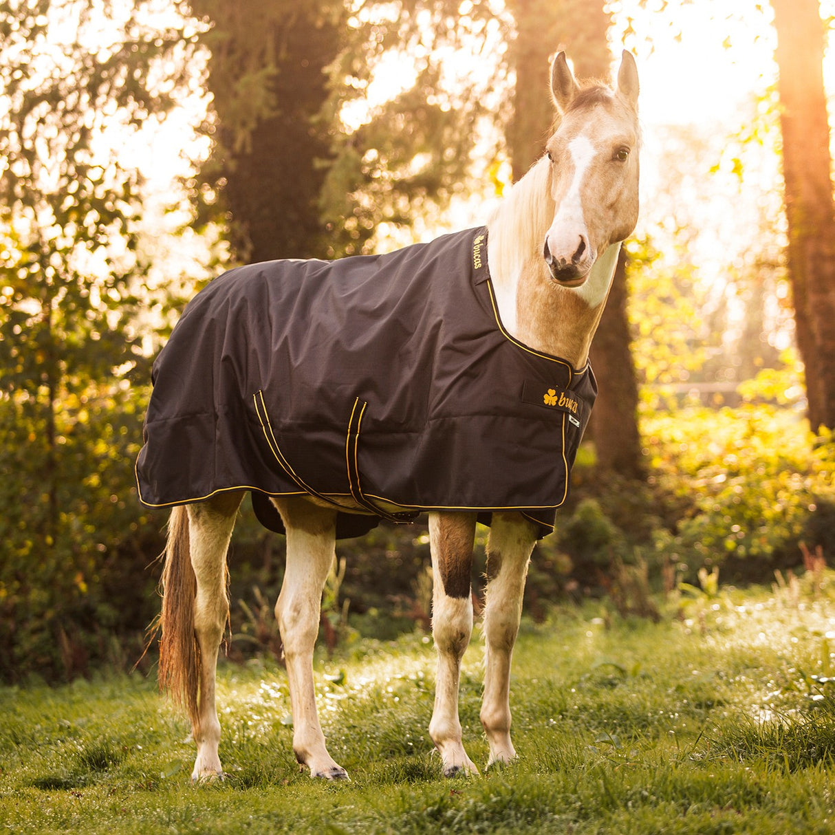 Couverture de sortie Bucas Irish Extra 300 g