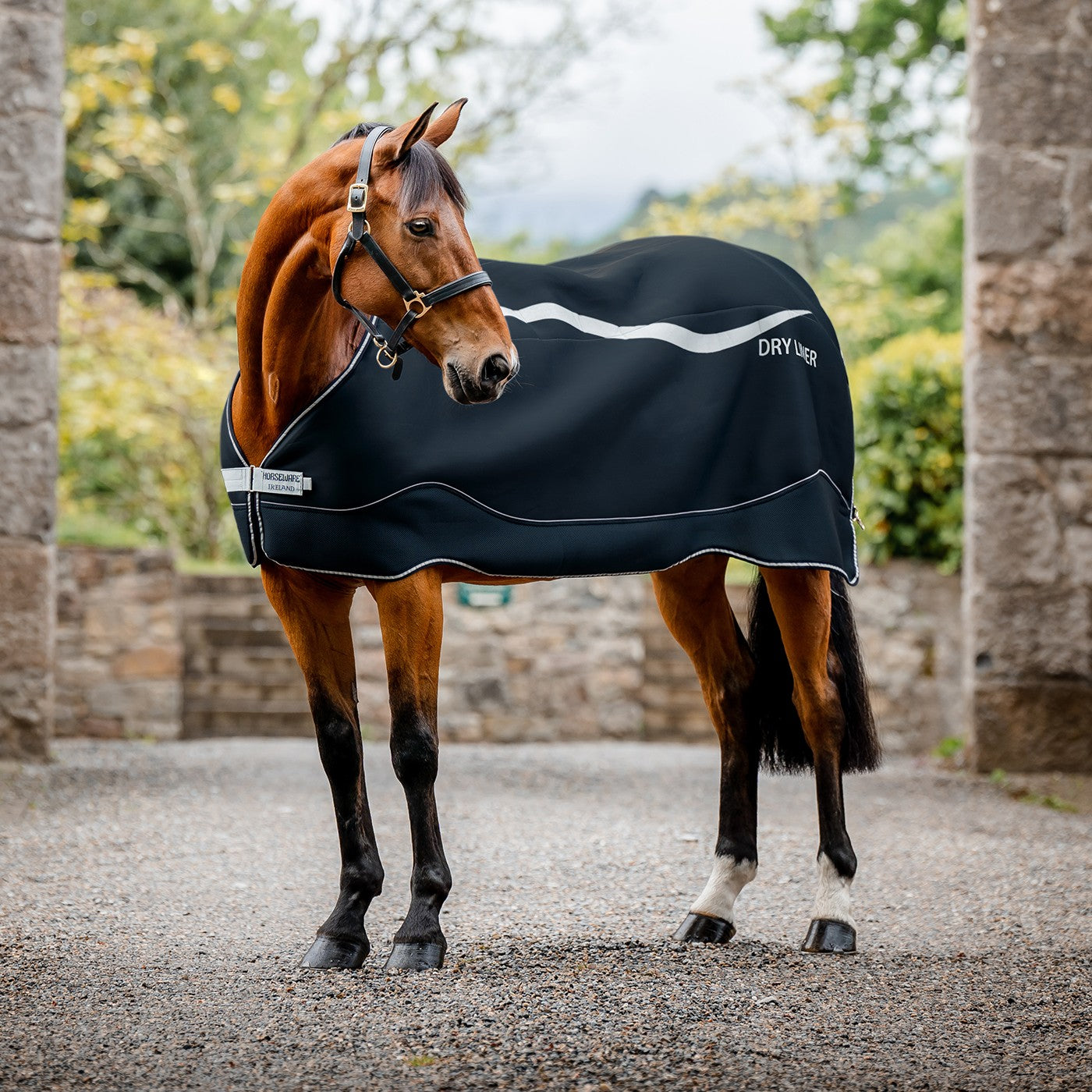 Doublure Horseware Dry 50 g