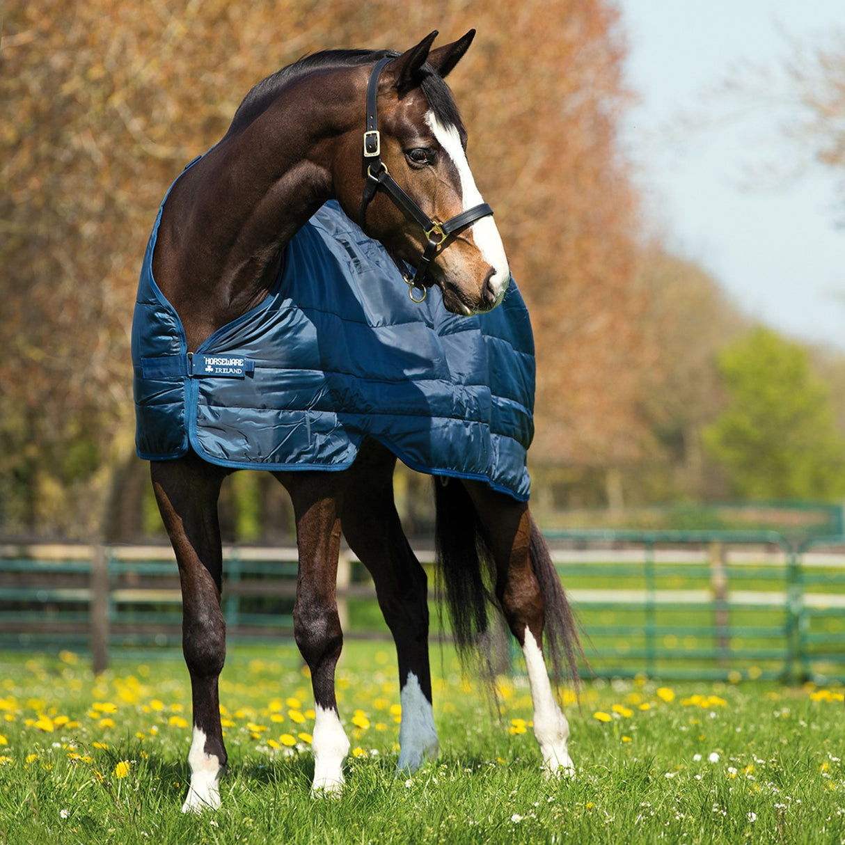 Horseware Doublure 200 g