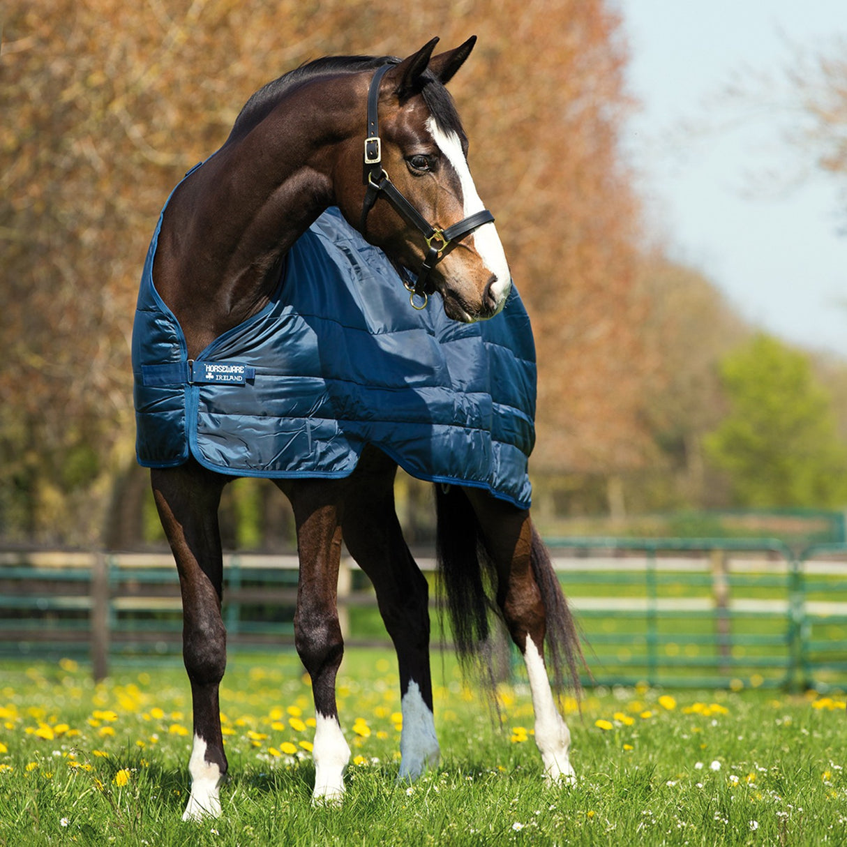 Horseware Doublure 300 g