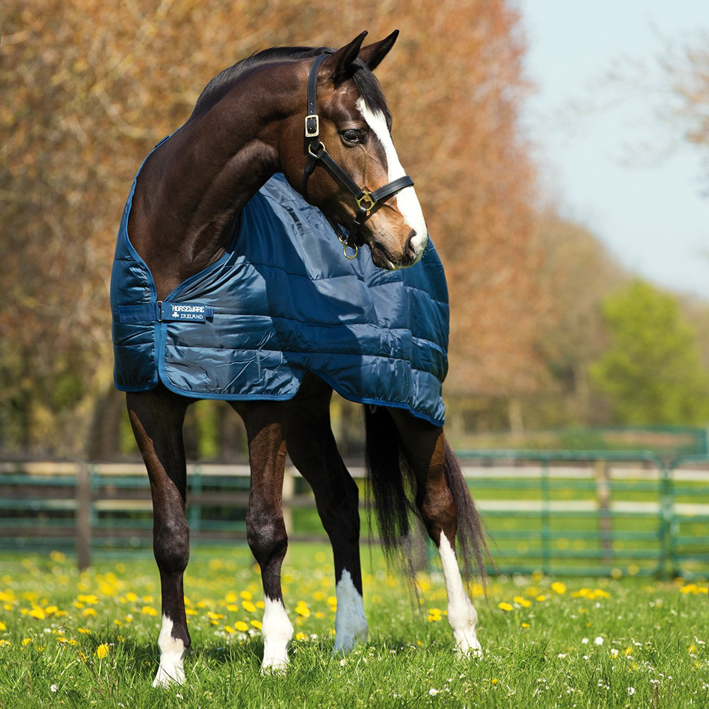 Horseware Doublure 300 g