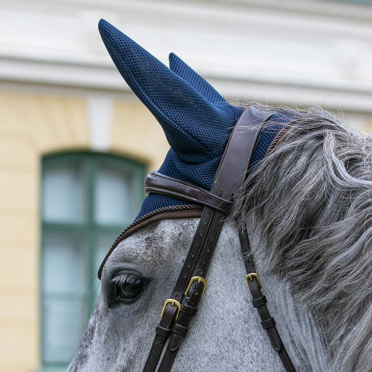 Back on Track Airflow Fly Veil