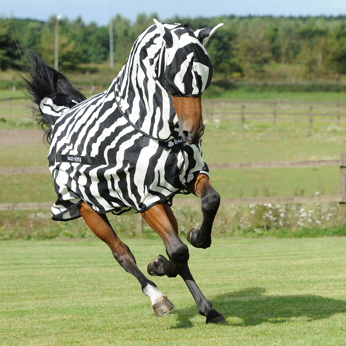 Bucas Zebra Regular Fly Mask