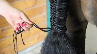 Braid A Tail: Pinwheel & Wrap Around