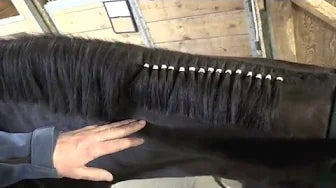 Band Your Horse's Mane for Western Classes