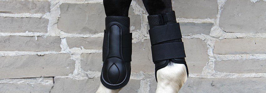 QHP Guêtres Rigides Avant Intérieur Néoprène Avec Velcro - Protection Cheval Pony Vert Glace