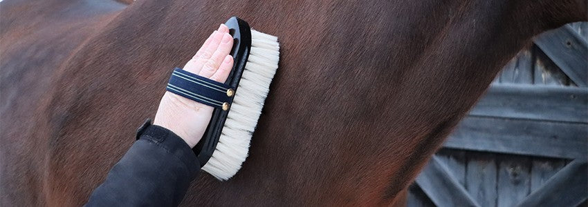 Dandy Brushes – Greenhawk Equestrian Sport
