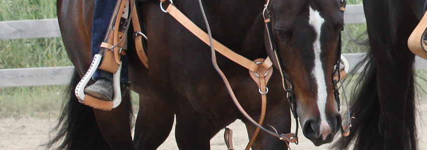 Perforatrice en cuir de luxe – Greenhawk Equestrian Sport