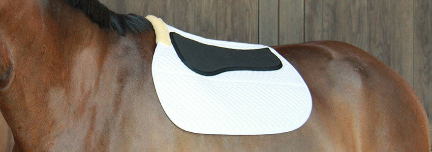 Mousqueton en acier à double extrémité Shedrow, 4 1/2 po. – Greenhawk  Equestrian Sport